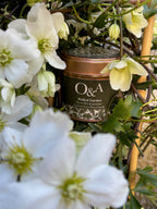 Walled Garden - Sweet Pea and Jasmine Candle Tin